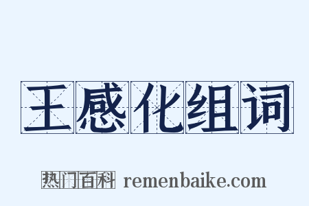 王感化组词是什么意思的图片